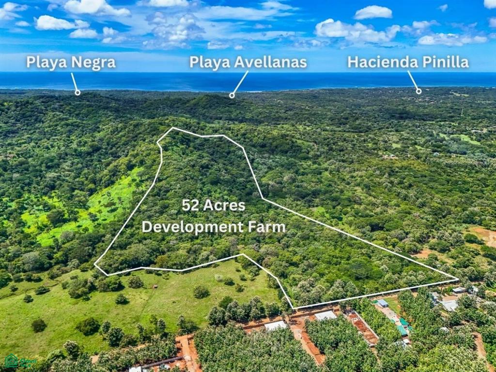 Finca Montecito , Tamarindo, Santa Cruz, Guanacaste photo 5