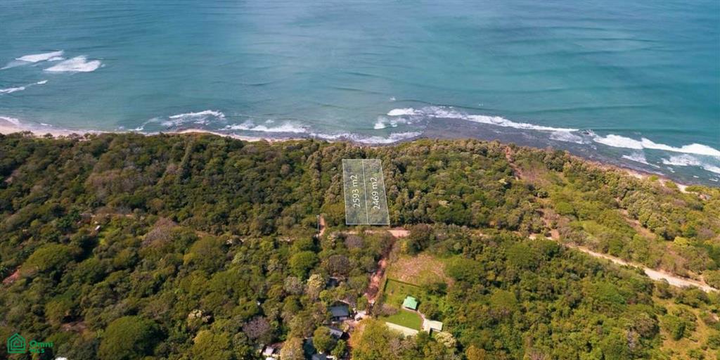 , Tamarindo, Santa Cruz, Guanacaste photo 5