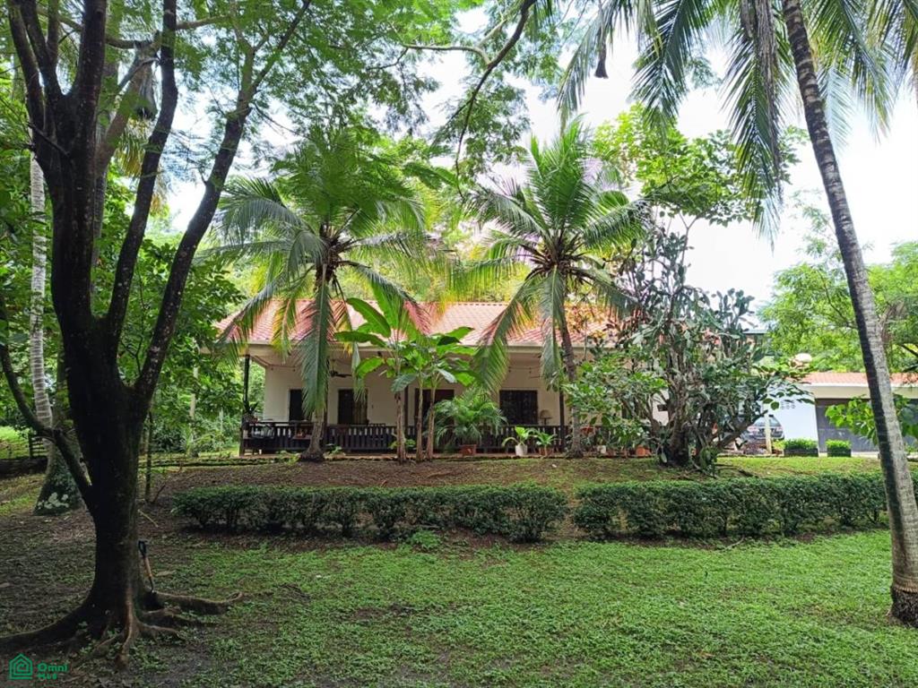 , Tamarindo, Santa Cruz, Guanacaste photo 1