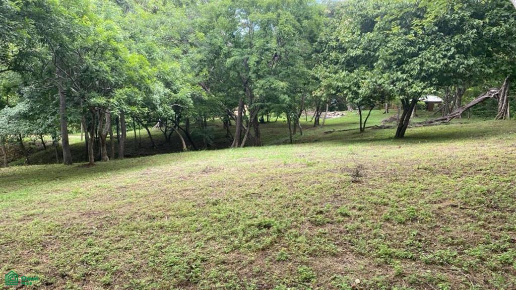 , Tamarindo, Santa Cruz, Guanacaste photo 1