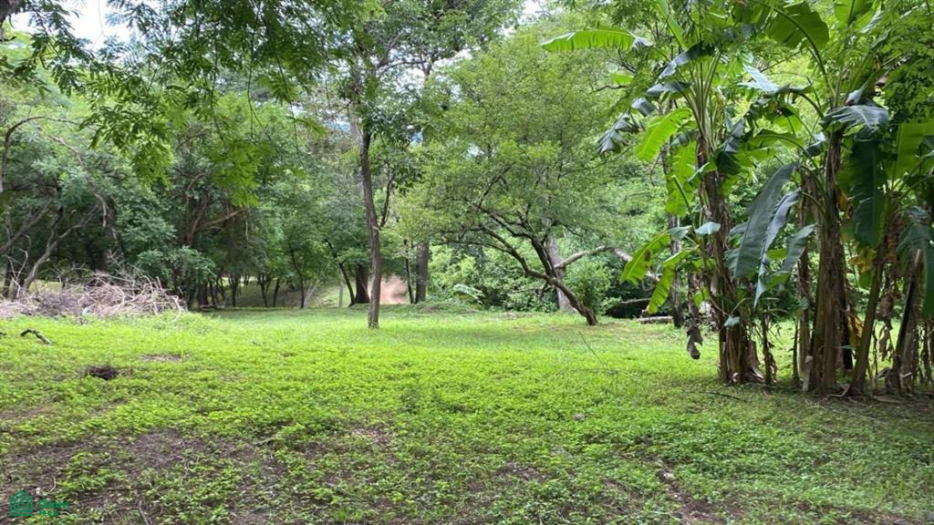 Santa Rosa , Tamarindo, Santa Cruz, Guanacaste photo 2