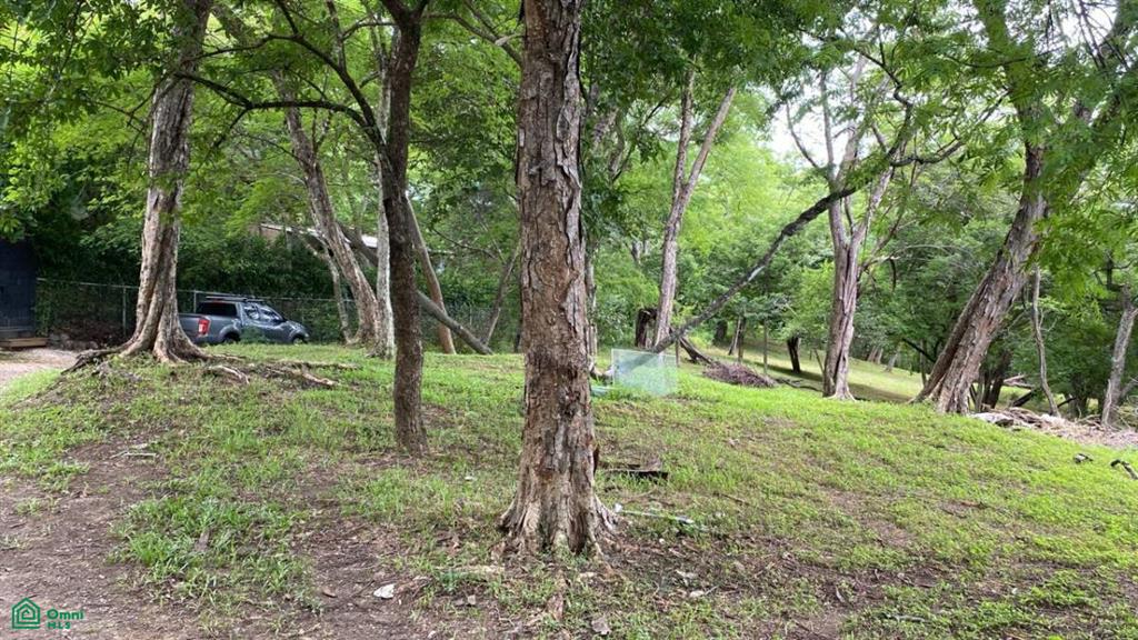 Santa Rosa , Tamarindo, Santa Cruz, Guanacaste photo 3