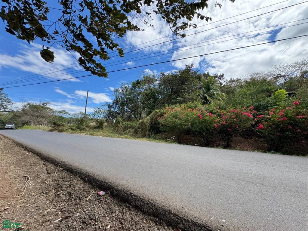 , Tamarindo, Santa Cruz, Guanacaste photo 1