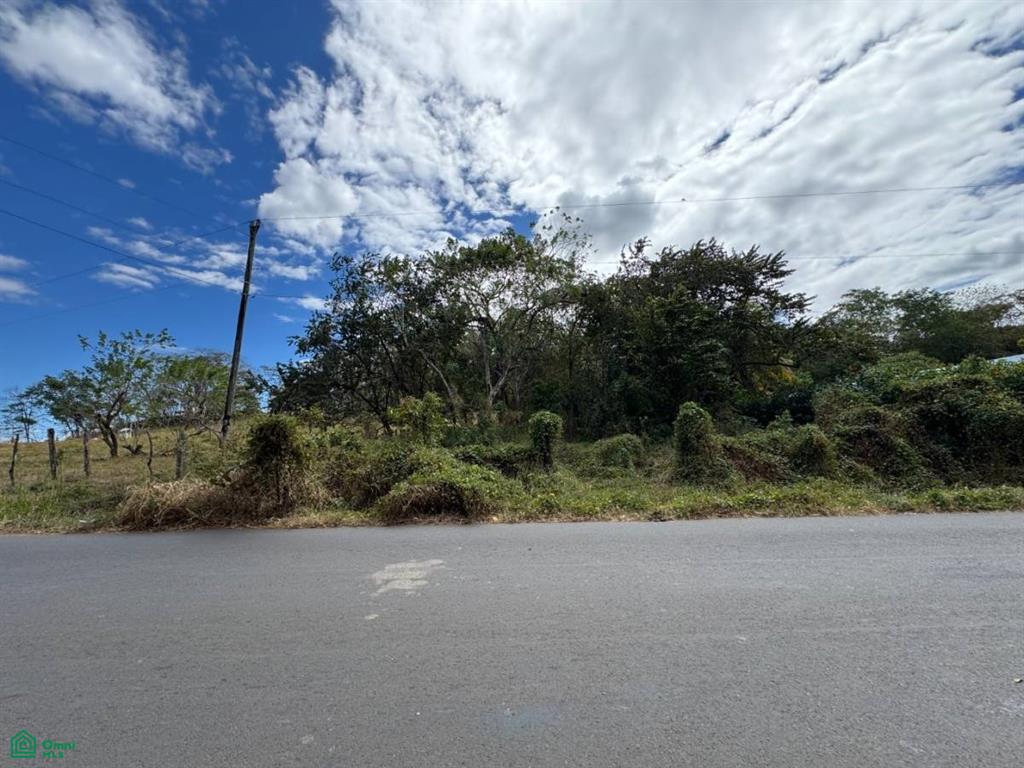 , Tamarindo, Santa Cruz, Guanacaste photo 3