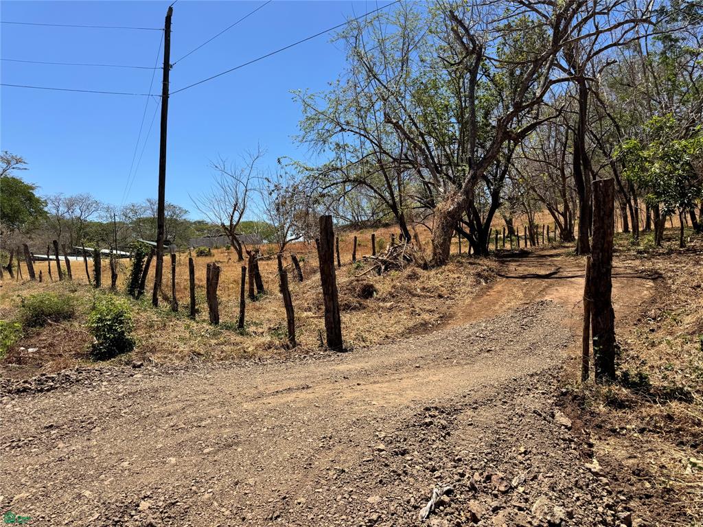 , Tamarindo, Santa Cruz, Guanacaste photo 4