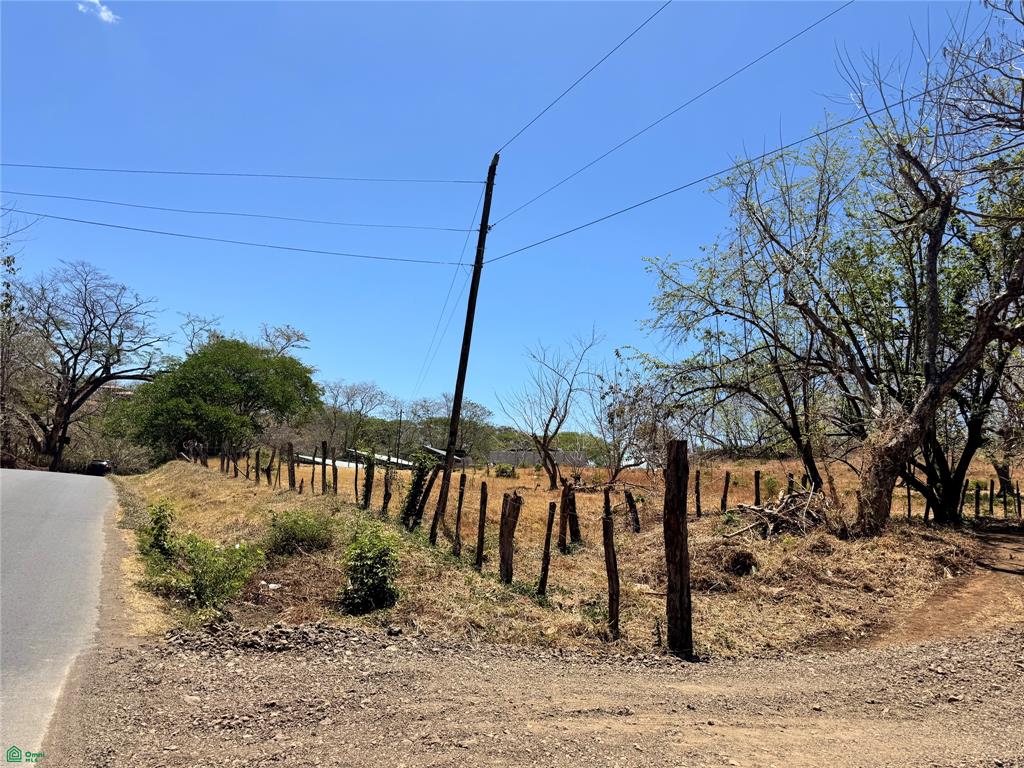 , Tamarindo, Santa Cruz, Guanacaste photo 5