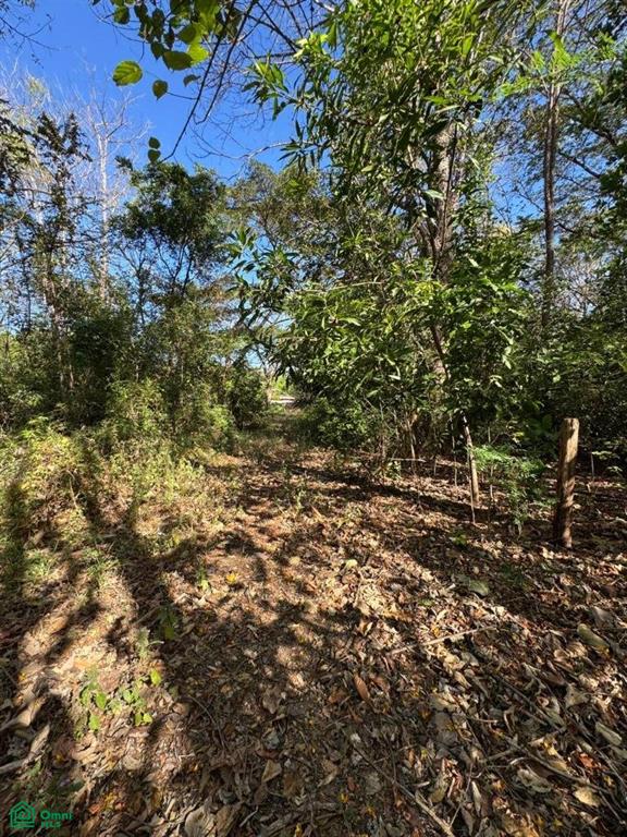 , Tamarindo, Santa Cruz, Guanacaste photo 1