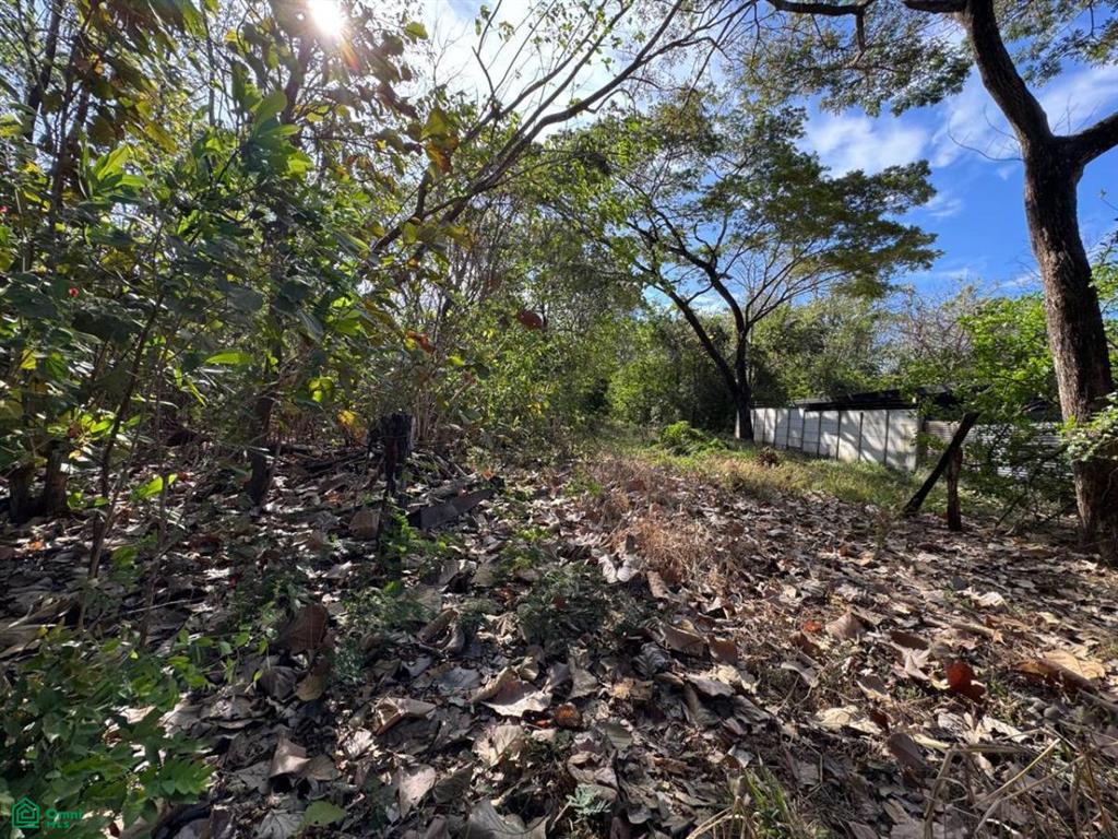 , Tamarindo, Santa Cruz, Guanacaste photo 4