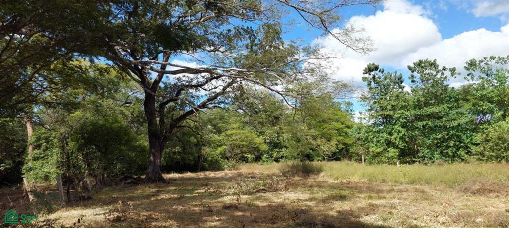 Lagarita Nueva, Lote 908m2 , Tamarindo, Santa Cruz, Guanacaste photo 1