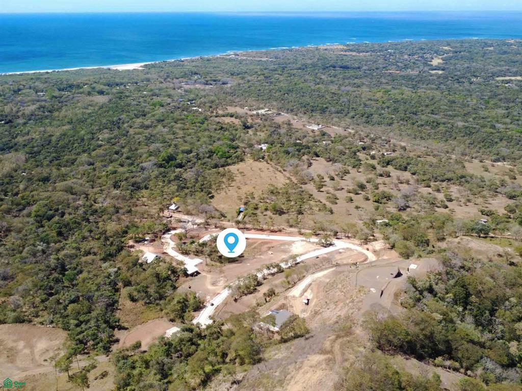 Tamarindo photo 1