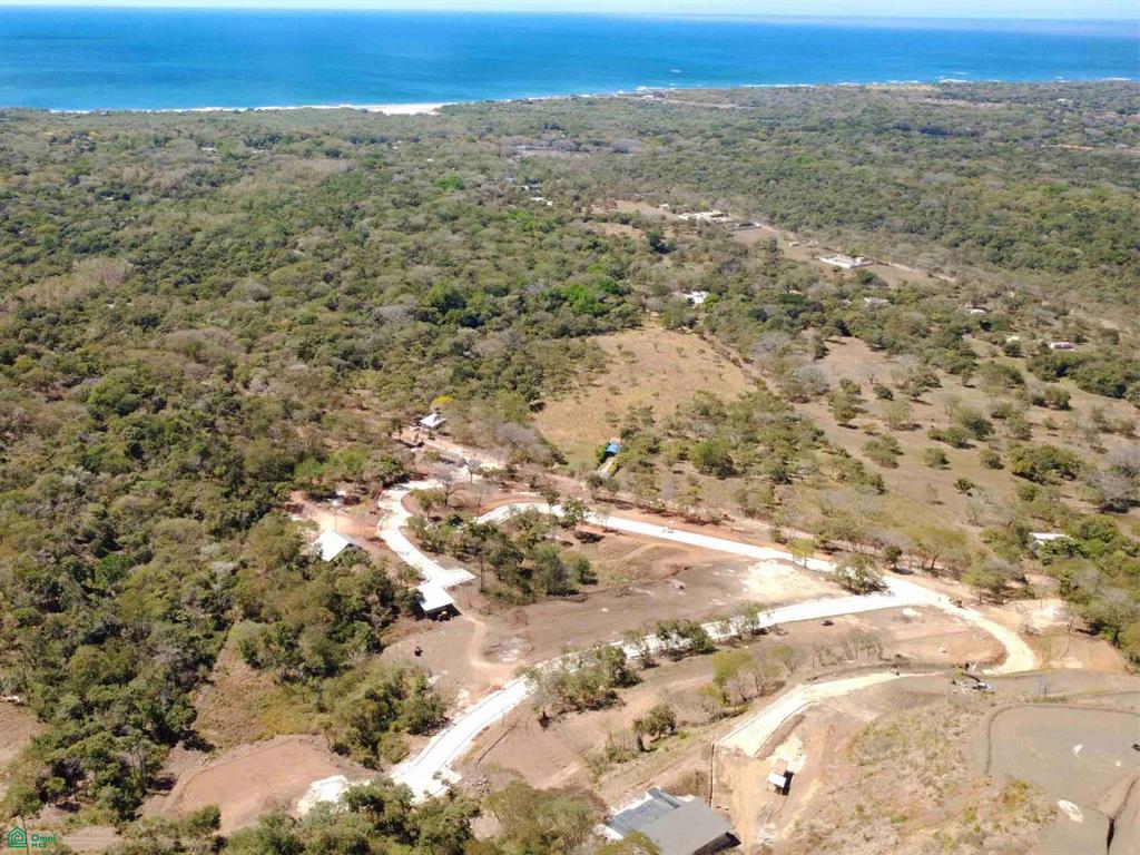 Tamarindo photo 3