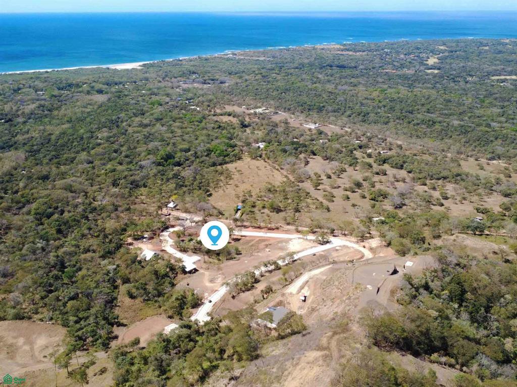 Tamarindo photo 1