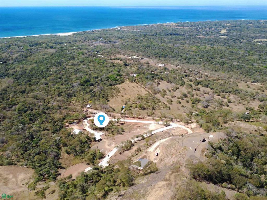 Tamarindo photo 1
