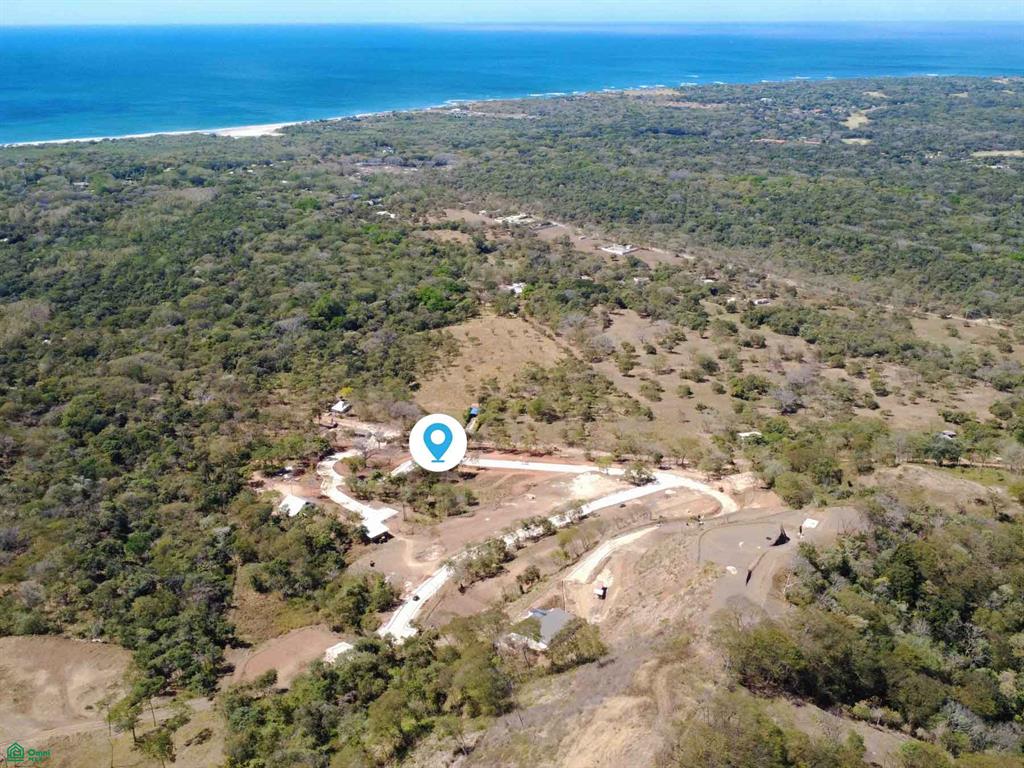 Tamarindo photo 1