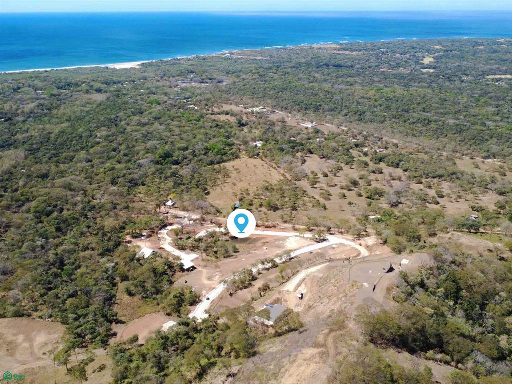Tamarindo photo 1