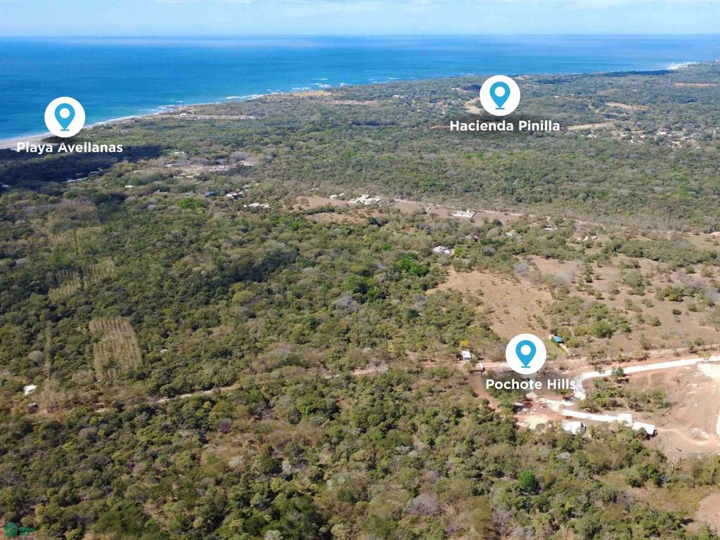Tamarindo photo 2