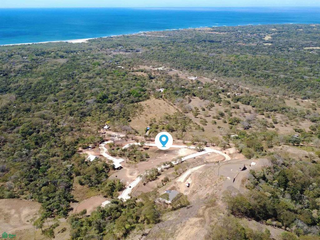 Tamarindo photo 1