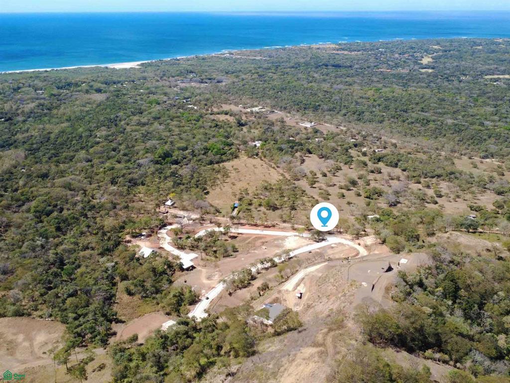 Tamarindo photo 1