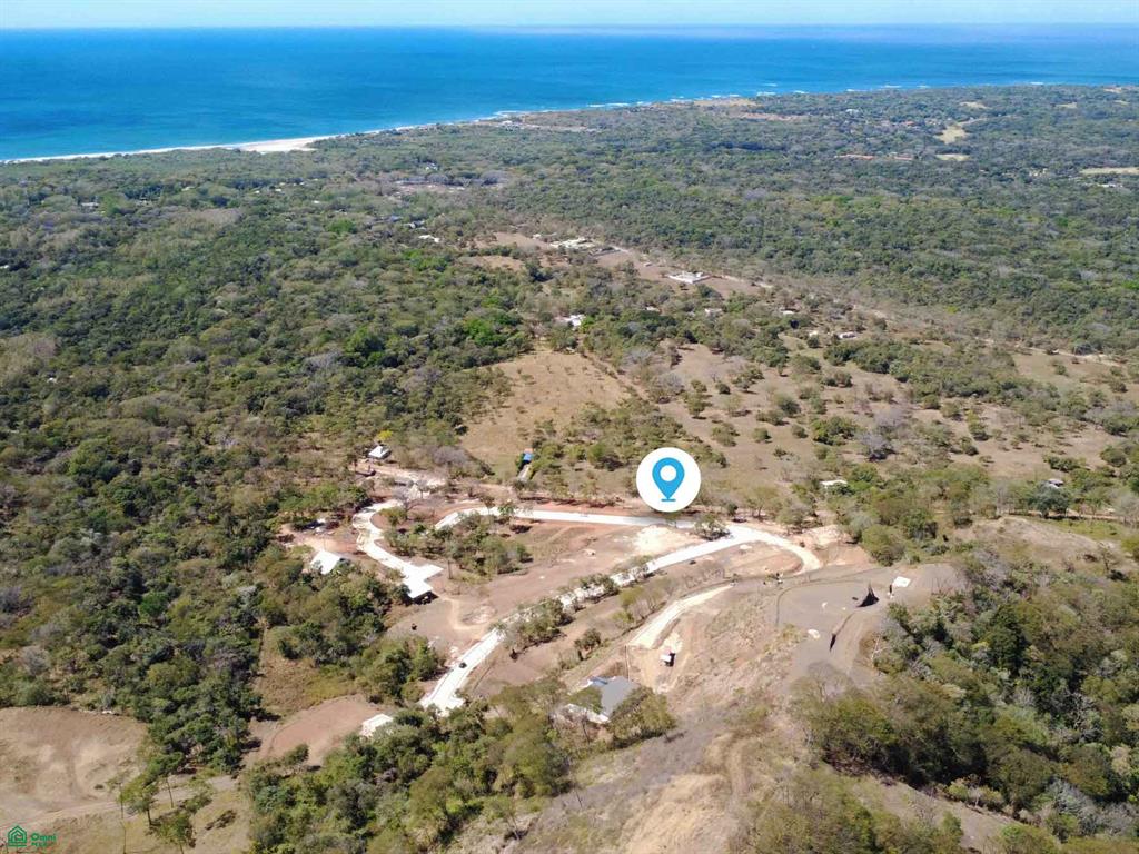 Tamarindo photo 2
