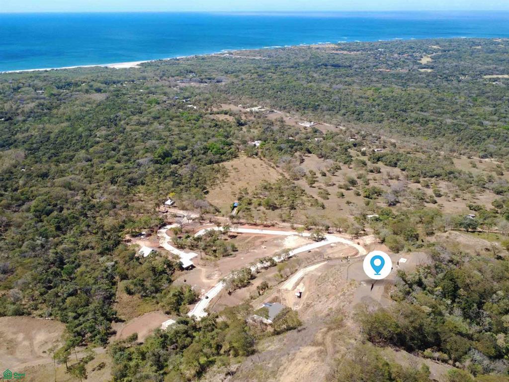 Tamarindo photo 1
