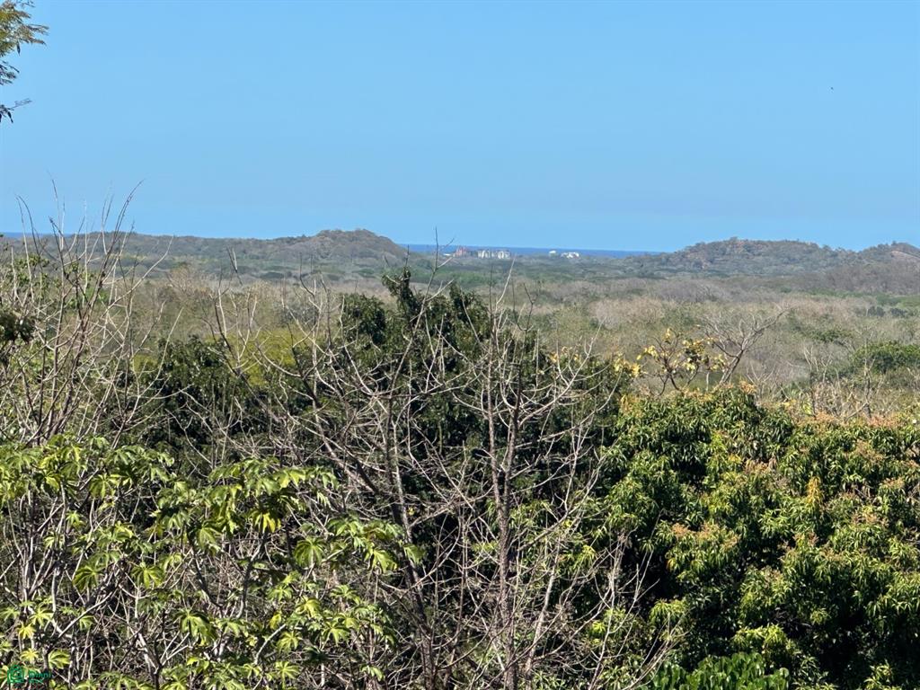 San José de Pinilla, Tamarindo photo 2
