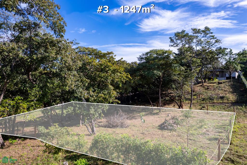 El Sueño Lot 3 | Exclusive Ocean View Homesite Minutes from Tamarindo photo 5