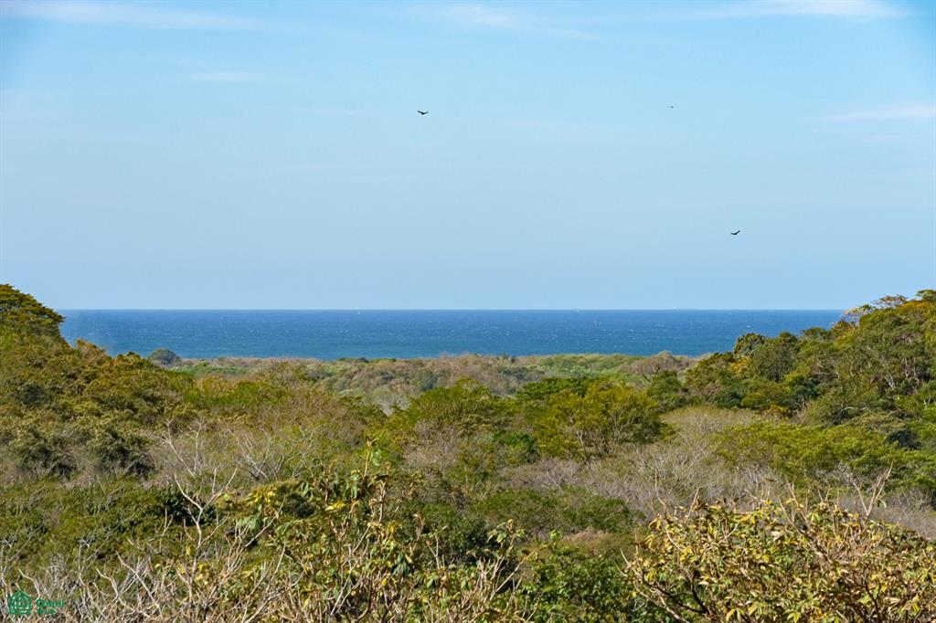 El Sueño Lot #5: Premier Ocean View Homesite Above Tamarindo photo 1