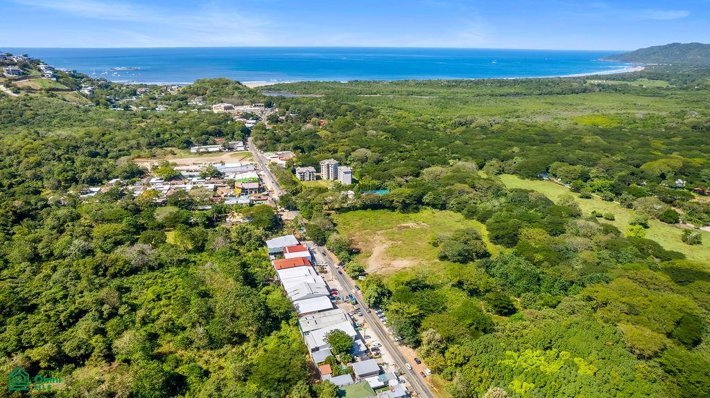 Tamarindo photo 4