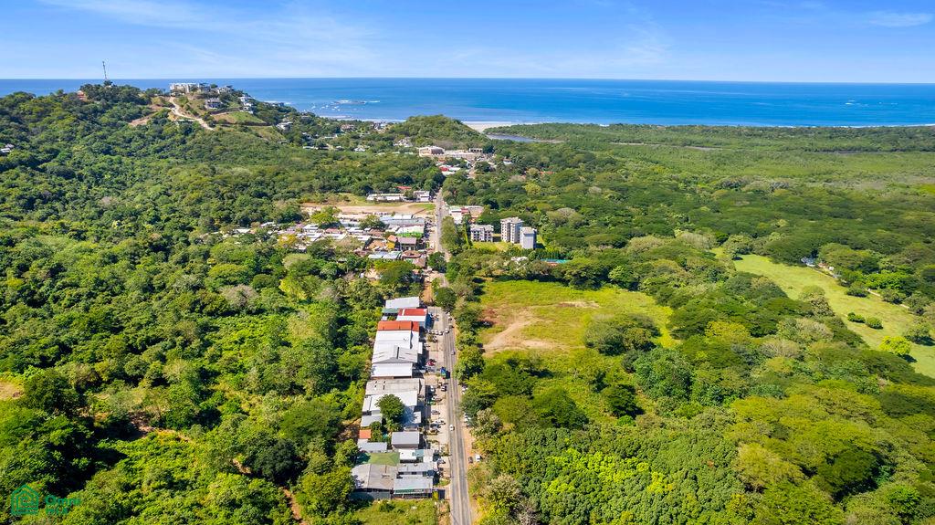 Tamarindo photo 5