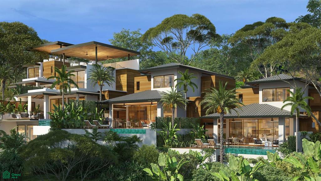Tamarindo photo 3