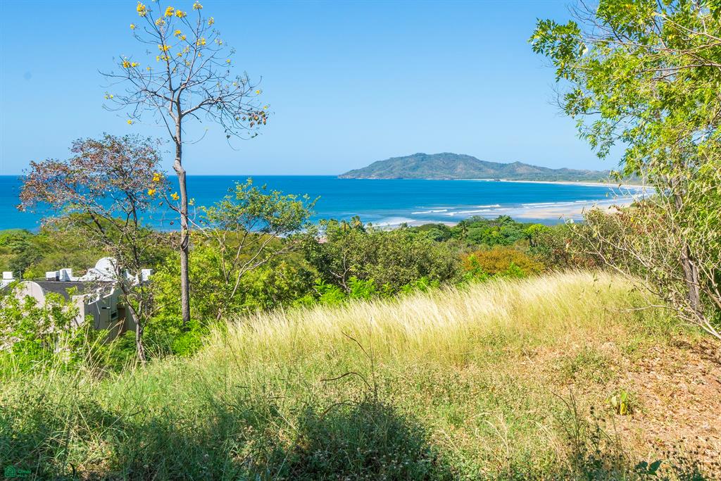 Tamarindo, Tamarindo photo 1