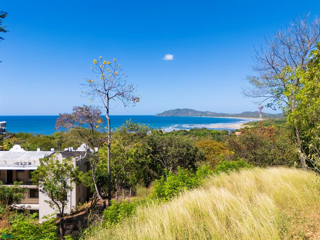 Tamarindo, Tamarindo photo 2