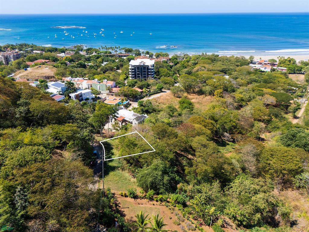 Tamarindo, Tamarindo photo 3