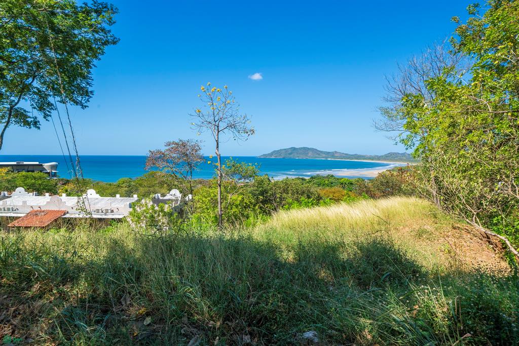 Tamarindo, Tamarindo photo 4