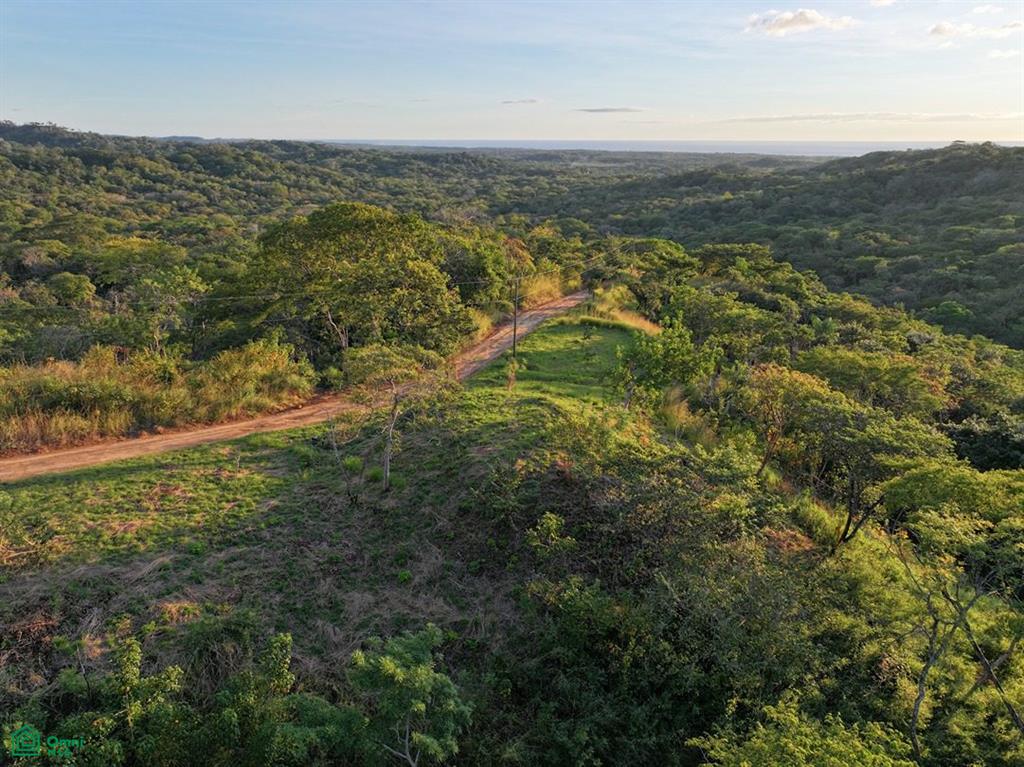 Tamarindo photo 1