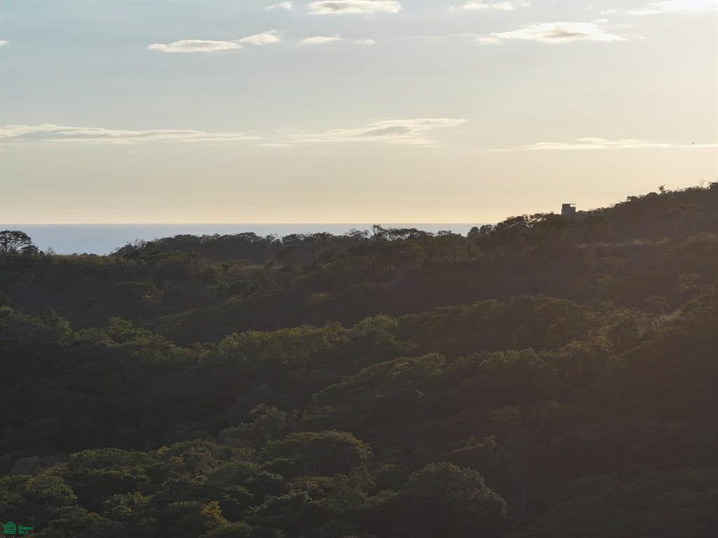 Tamarindo photo 2