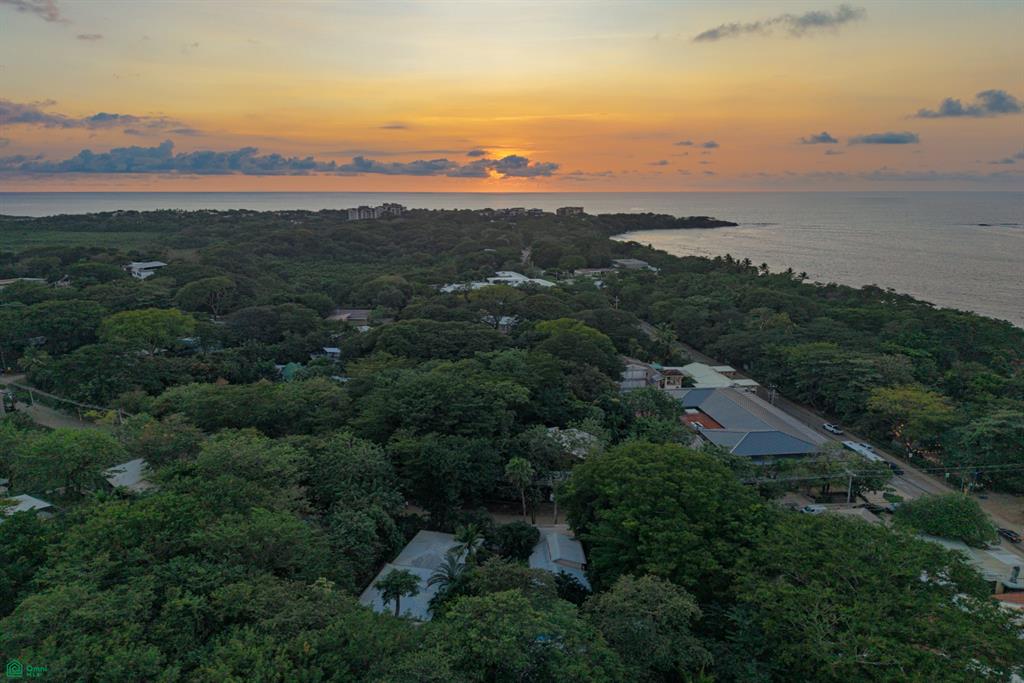 Tamarindo photo 1