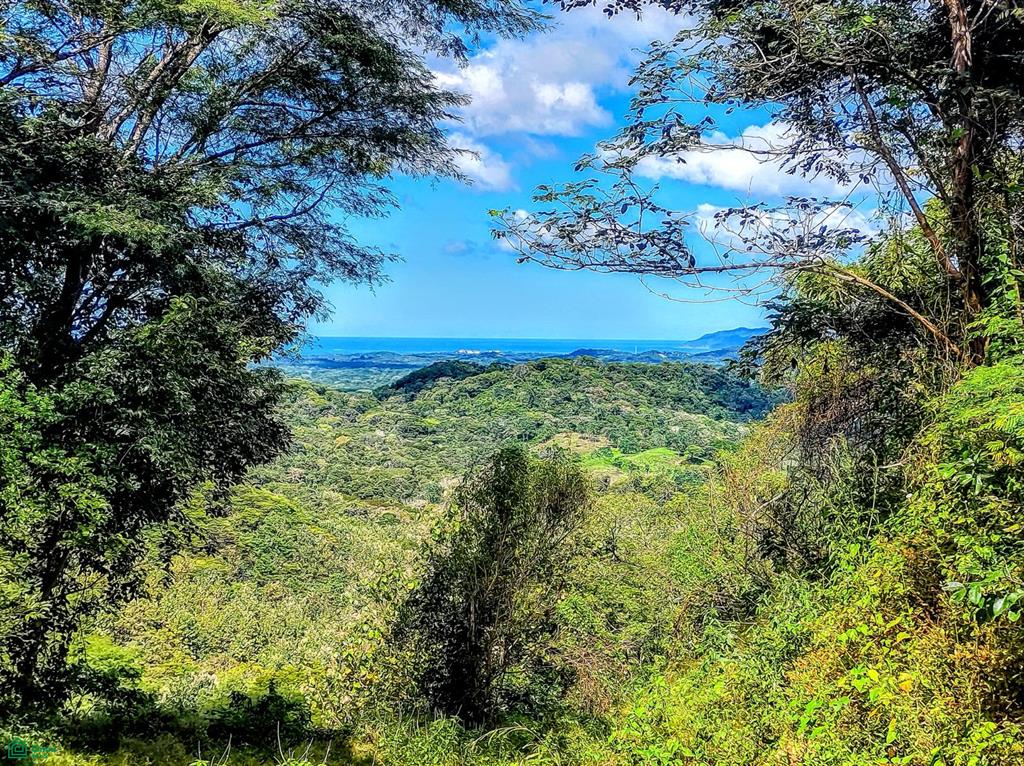 Pinilla Highlands Oceanview Ranch: 64 Hectares of Untouched Luxury Land Near Tamarindo photo 1