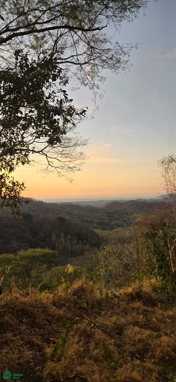 Pinilla Highlands Oceanview Ranch: 64 Hectares of Untouched Luxury Land Near Tamarindo photo 2