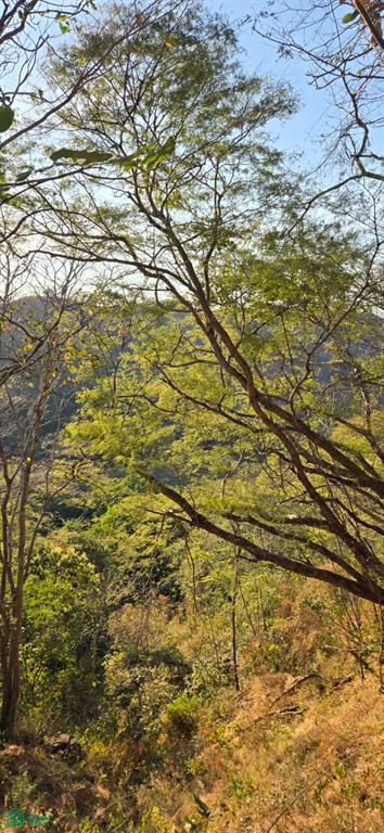 Pinilla Highlands Oceanview Ranch: 64 Hectares of Untouched Luxury Land Near Tamarindo photo 3