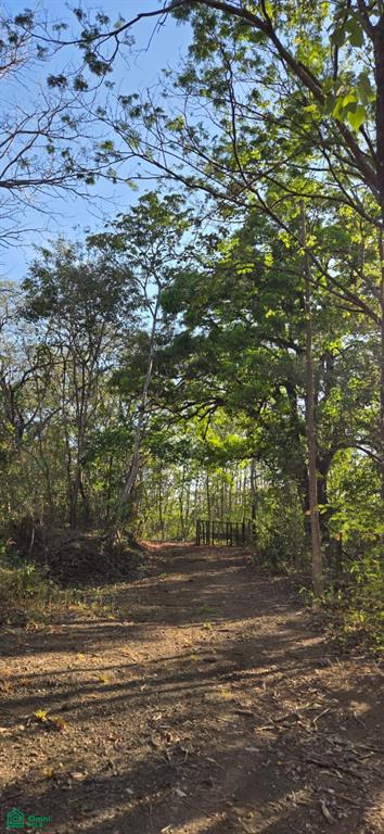 Pinilla Highlands Oceanview Ranch: 64 Hectares of Untouched Luxury Land Near Tamarindo photo 4