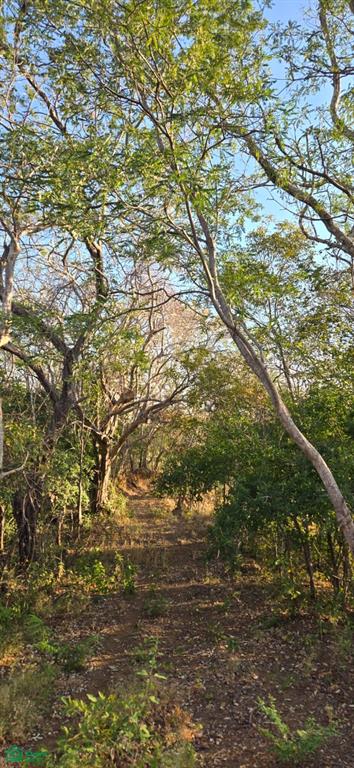 Pinilla Highlands Oceanview Ranch: 64 Hectares of Untouched Luxury Land Near Tamarindo photo 5