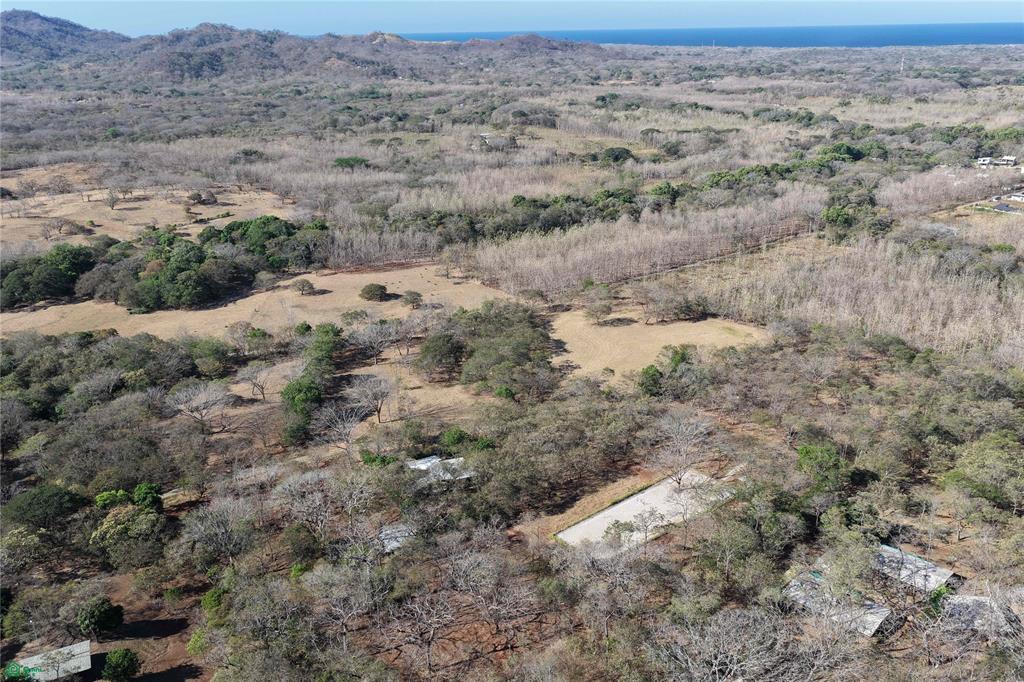 Cerro Grande Estates – Luxury Countryside Living Near Playa Avellanas with Expansive Estate Lots & Equestrian Lifestyle Opportunities photo 2