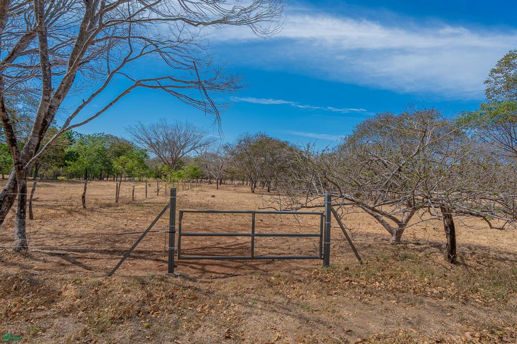 Cerro Grande Estates – Luxury Countryside Living Near Playa Avellanas with Expansive Estate Lots & Equestrian Lifestyle Opportunities photo 4