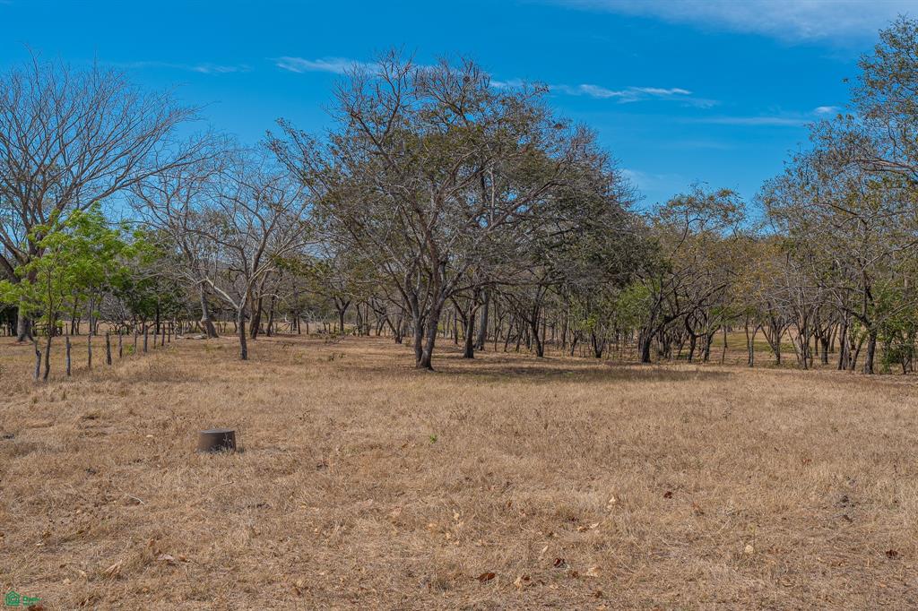 Cerro Grande Estates – Luxury Countryside Living Near Playa Avellanas with Expansive Estate Lots & Equestrian Lifestyle Opportunities photo 5