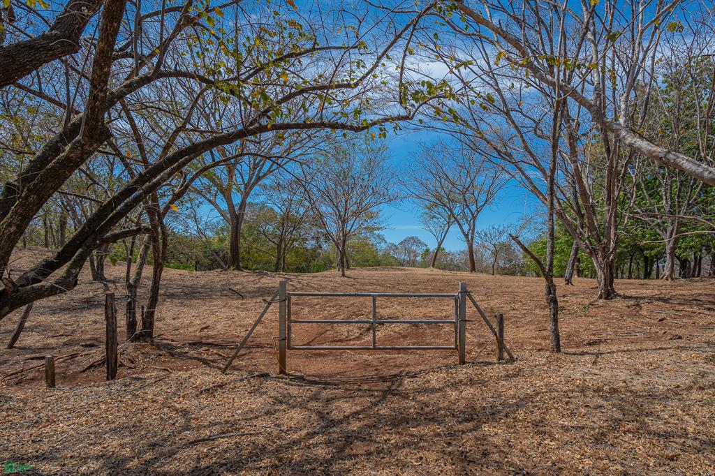 Cerro Grande Estates – Expansive Luxury Estate Lots Near Playa Avellanas with Equestrian Lifestyle & Countryside Views in Costa Rica photo 5