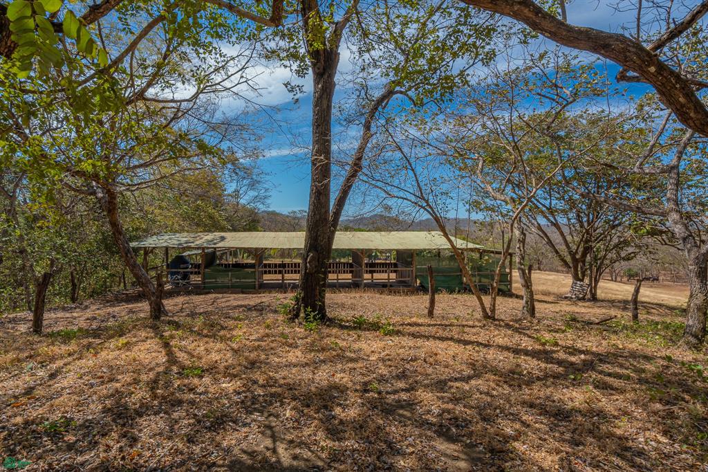 Cerro Grande Estates – Spacious Mountain-View Estate Lots Near Playa Avellanas with Equestrian Living & Coastal Convenience in Costa Rica photo 3