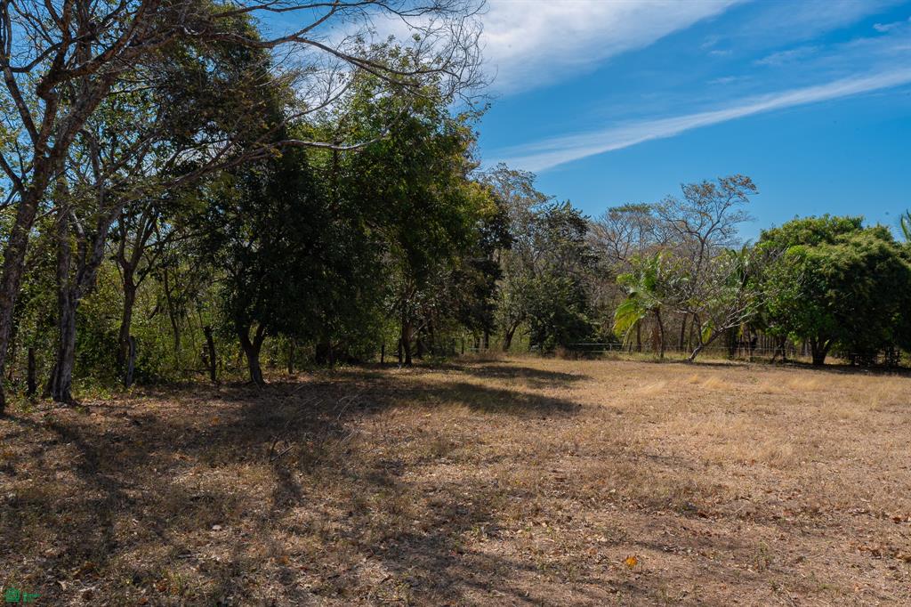 Cerro Grande Estates – Spacious Mountain-View Estate Lots Near Playa Avellanas with Equestrian Living & Coastal Convenience in Costa Rica photo 4
