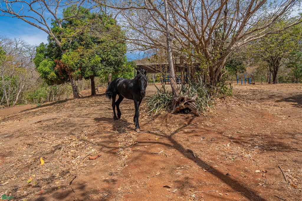 Cerro Grande Estates – Expansive Estate Lot with Equestrian Facilities Near Playa Avellanas & Tamarindo, Costa Rica photo 1