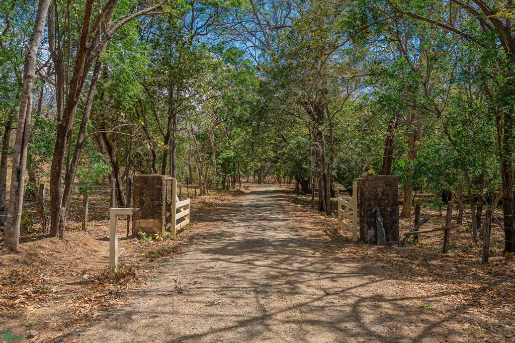 Cerro Grande Estates – Expansive Estate Lot with Equestrian Facilities Near Playa Avellanas & Tamarindo, Costa Rica photo 3